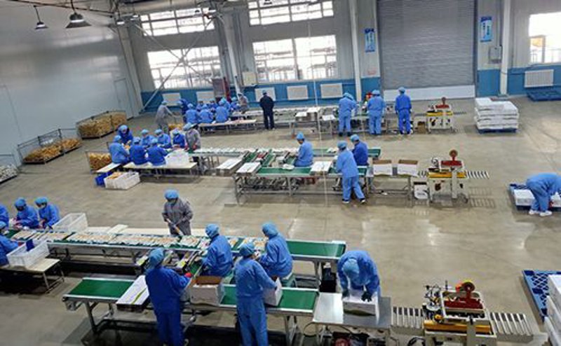 信用卡催收：从安装到维护的全过程